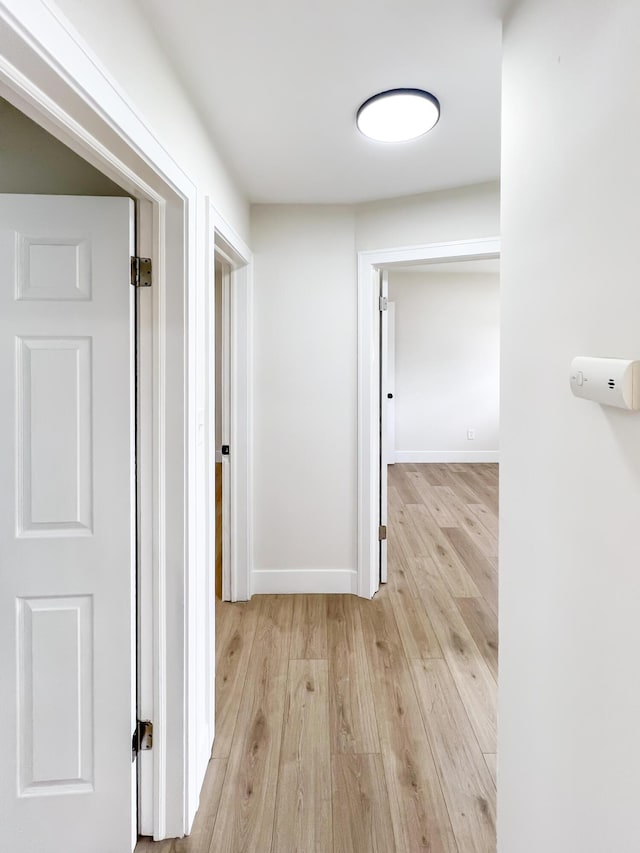 20215 Damman St, Harper Woods, MI 48225 - hallway featuring light wood finished floors and baseboards