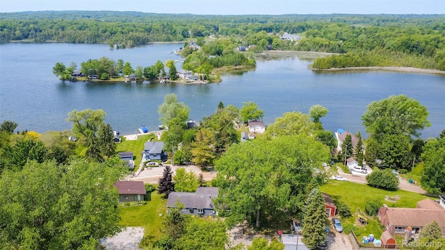 2650 Devonshire, Leonard, MI 48367 - aerial view of a nearby body of water and a forest