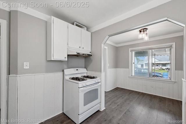 21426 Syracuse Ave, Warren, MI 48091 - kitchen featuring gas range gas stove, a wainscoted wall, under cabinet range hood, dark wood-style flooring, and white cabinetry