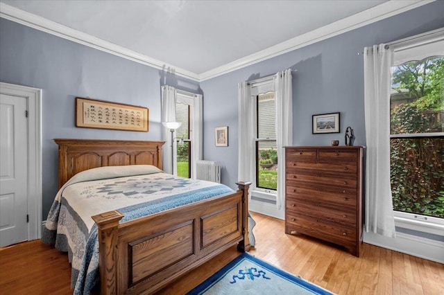 244 Paris Ave SE, Grand Rapids, MI 49503 - bedroom with radiator heating unit, multiple windows, light wood finished floors, and crown molding