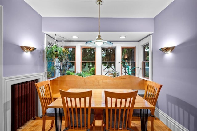 244 Paris Ave SE, Grand Rapids, MI 49503 - dining area featuring wood finished floors, plenty of natural light, and baseboards