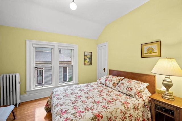 244 Paris Ave SE, Grand Rapids, MI 49503 - bedroom with radiator heating unit, vaulted ceiling, wood finished floors, and baseboards