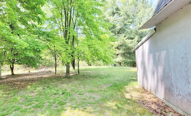 5350 E Crystal Lake Rd, Holton, MI 49425 - view of yard
