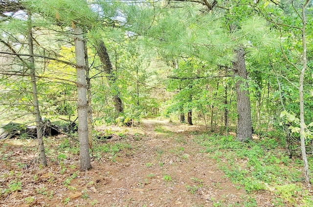 5350 E Crystal Lake Rd, Holton, MI 49425 - view of wooded area