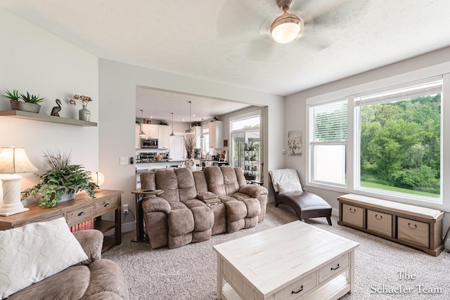 12150 Apple Cart Ln, Lowell, MI 49331 - living area with light carpet and ceiling fan