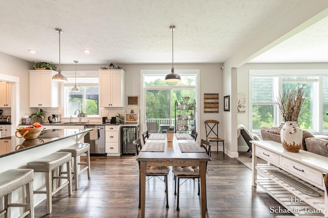 12150 Apple Cart Ln, Lowell, MI 49331 - dining space featuring plenty of natural light, dark wood finished floors, a textured ceiling, and baseboards