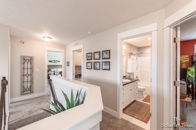 12150 Apple Cart Ln, Lowell, MI 49331 - corridor featuring light carpet, a sink, baseboards, and a textured ceiling