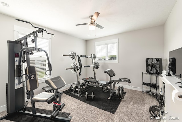 12150 Apple Cart Ln, Lowell, MI 49331 - workout room with a ceiling fan and baseboards