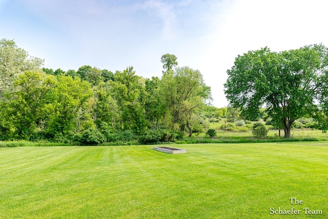 12150 Apple Cart Ln, Lowell, MI 49331 - view of green lawn