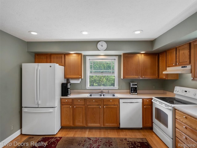 3040 Honey Bee Ln, Oxford, MI 48370 - kitchen featuring white appliances, under cabinet range hood, a sink, light wood-style flooring, and light countertops