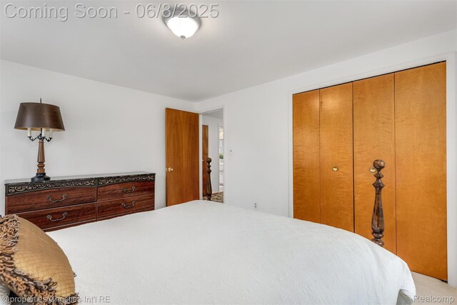 3379 Wormer Dr, Waterford, MI 48329 - bedroom with a closet