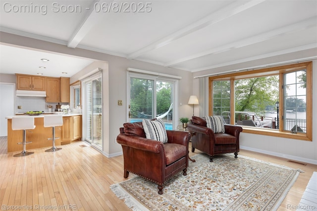 3379 Wormer Dr, Waterford, MI 48329 - living area featuring light wood finished floors, beam ceiling, and baseboards