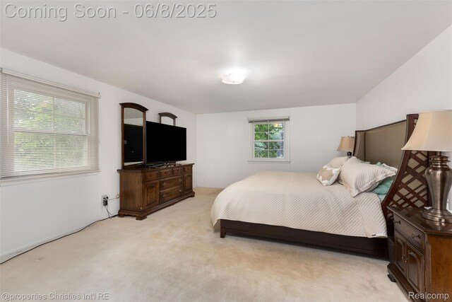 3379 Wormer Dr, Waterford, MI 48329 - bedroom with light carpet