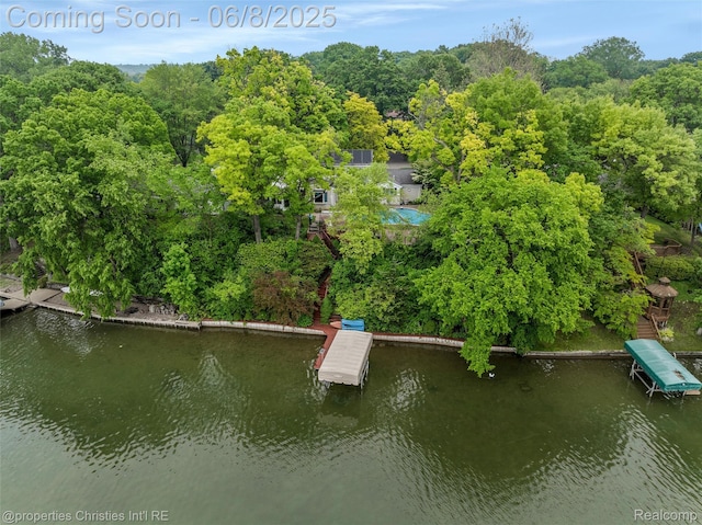 3379 Wormer Dr, Waterford, MI 48329 - dock with a water view and a wooded view