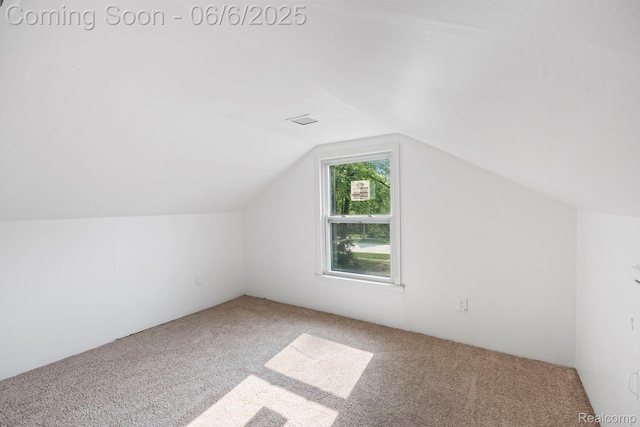 23808 Beierman Ave, Warren, MI 48091 - bonus room with carpet floors and vaulted ceiling