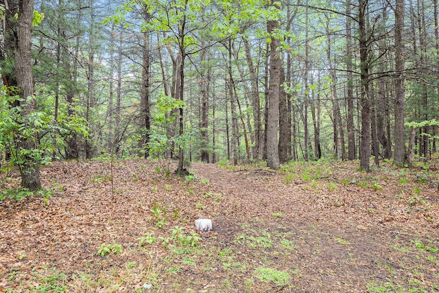 1518 White Pine Ct, Twin Lake, MI 49457 - view of woods