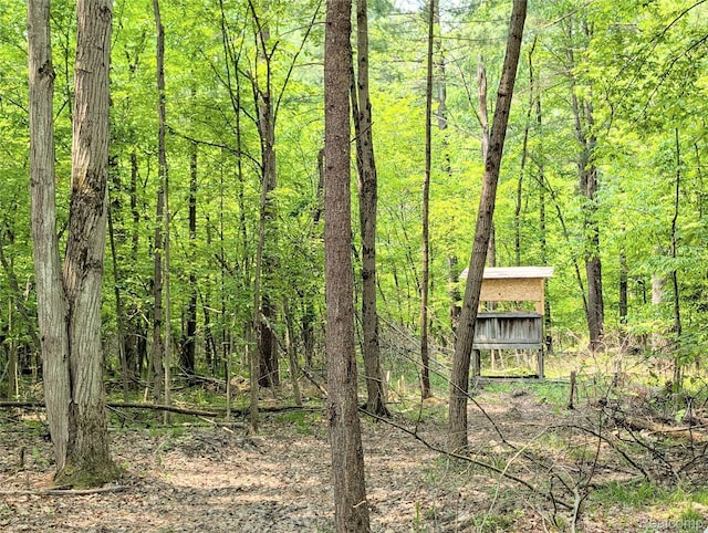 3730 Pinelands Rd, Gladwin, MI 48624 - view of wooded area