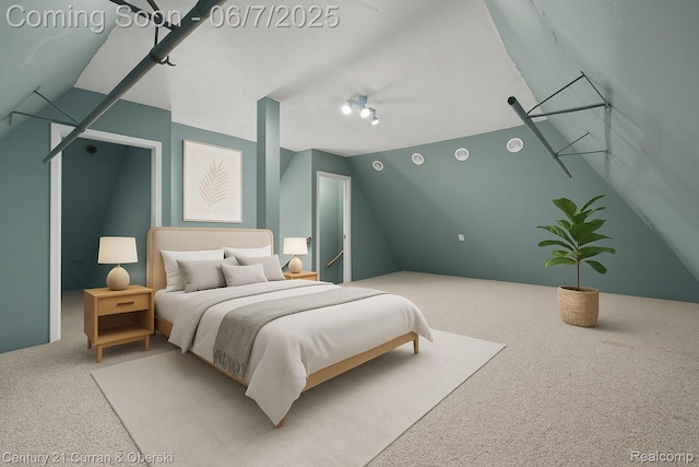 15915 Vaughan St, Detroit, MI 48223 - bedroom with carpet and rail lighting