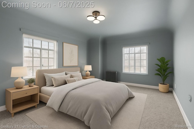 15915 Vaughan St, Detroit, MI 48223 - carpeted bedroom with radiator and baseboards