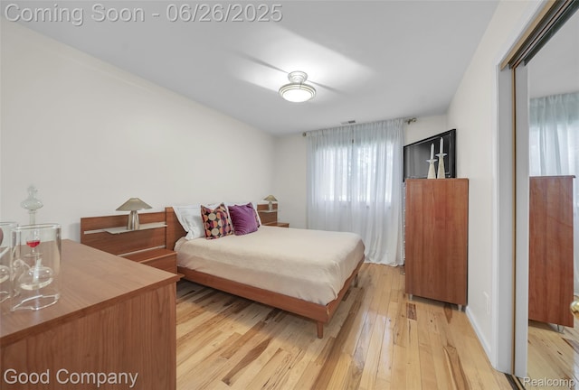30239 Hickory Ln, Franklin, MI 48025 - bedroom with light wood-style flooring and a closet