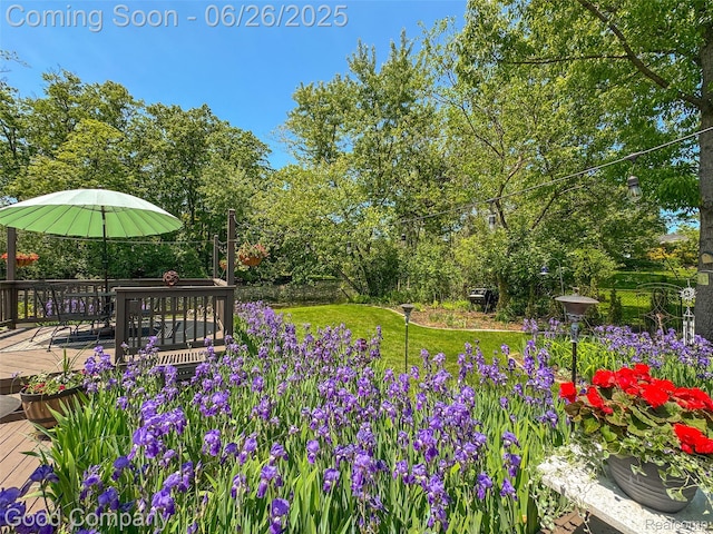 30239 Hickory Ln, Franklin, MI 48025 - view of yard with a deck