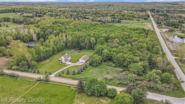 4024 Hosner Rd, Metamora, MI 48455 - photo 46