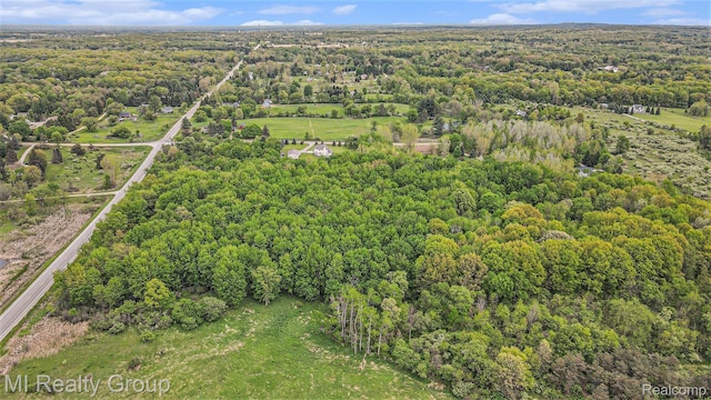 4024 Hosner Rd, Metamora, MI 48455 - photo 47
