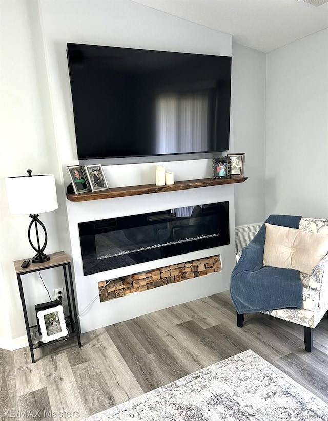 1565 Harbour Blvd Unit 182, Trenton, MI 48183 - detailed view of a glass covered fireplace and wood finished floors