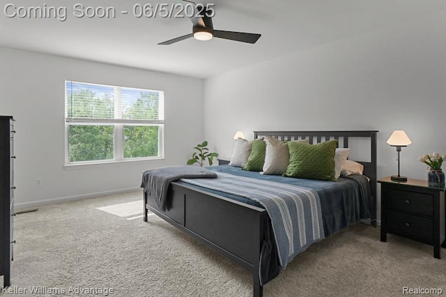 861 N Mill St, South Lyon, MI 48178 - carpeted bedroom with baseboards and a ceiling fan