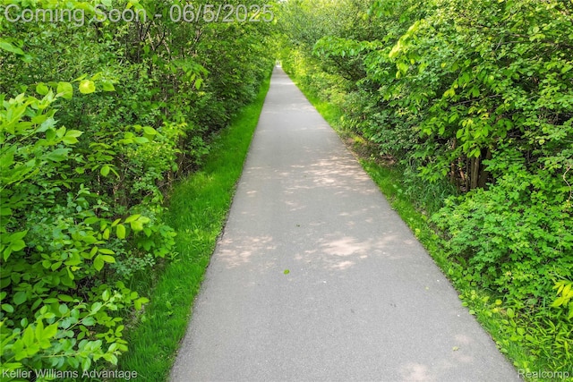 861 N Mill St, South Lyon, MI 48178 - view of property's community