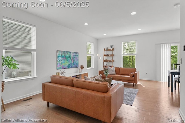 861 N Mill St, South Lyon, MI 48178 - living room featuring wood-type flooring, recessed lighting, and baseboards