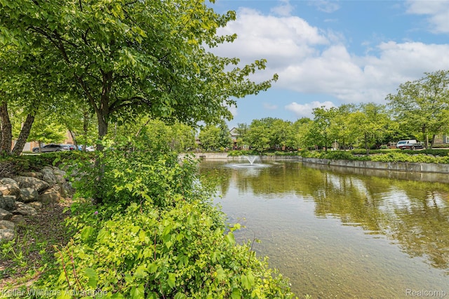 7127 Copper Creek Cir, Canton, MI 48187 - water view