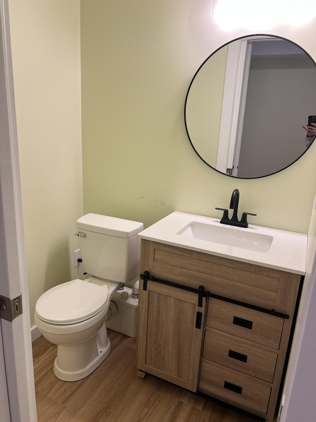 855 E Hansen Rd, Scottville, MI 49454 - half bath featuring vanity, wood finished floors, and toilet