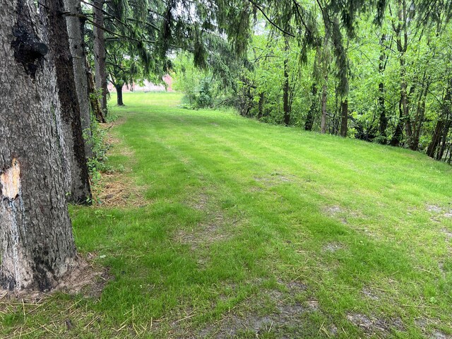 855 E Hansen Rd, Scottville, MI 49454 - view of green lawn