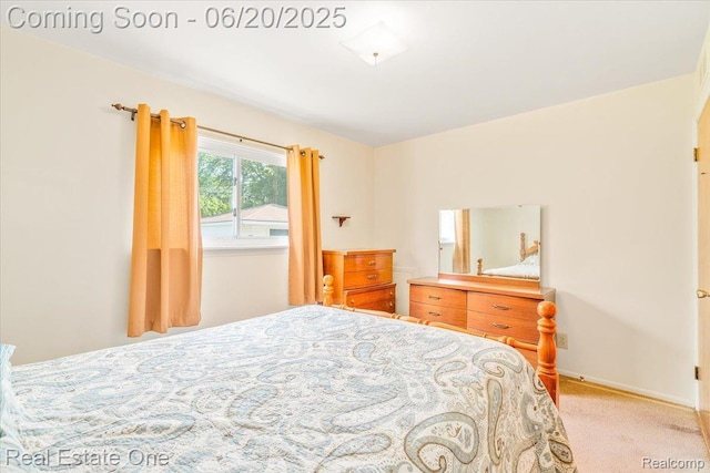 32622 Parkwood St, Westland, MI 48186 - bedroom with light carpet