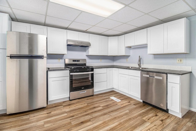 707 Maple St, Big Rapids, MI 49307 - kitchen with stainless steel appliances, under cabinet range hood, a sink, light wood-style flooring, and dark countertops
