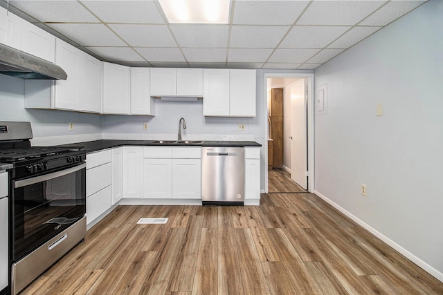 707 Maple St, Big Rapids, MI 49307 - kitchen featuring appliances with stainless steel finishes, a sink, a paneled ceiling, light wood-type flooring, and extractor fan