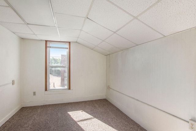 707 Maple St, Big Rapids, MI 49307 - bonus room featuring carpet flooring