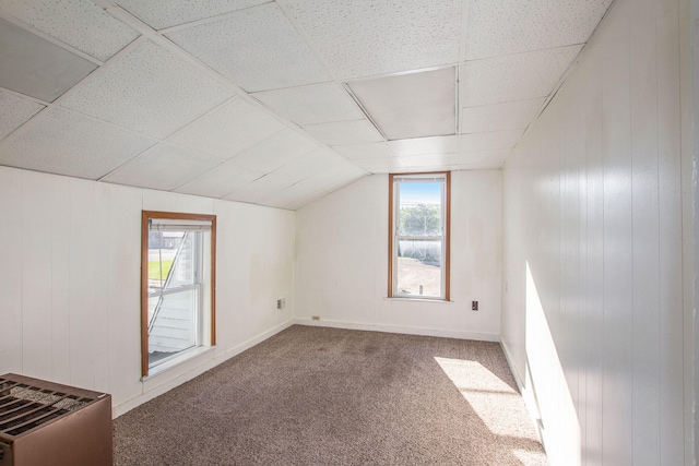 707 Maple St, Big Rapids, MI 49307 - bonus room with carpet flooring, vaulted ceiling, and wooden walls