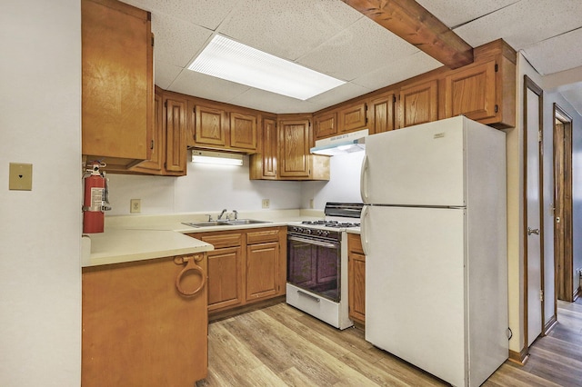 707 Maple St, Big Rapids, MI 49307 - kitchen featuring white appliances, a sink, under cabinet range hood, light wood-type flooring, and light countertops