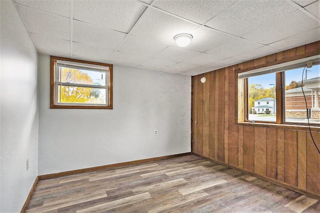 707 Maple St, Big Rapids, MI 49307 - empty room with wooden walls, plenty of natural light, wood finished floors, baseboards, and a paneled ceiling