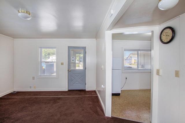 707 Maple St, Big Rapids, MI 49307 - foyer entrance featuring dark carpet and baseboards