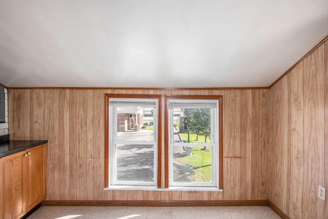 707 Maple St, Big Rapids, MI 49307 - bonus room featuring wood walls and baseboards