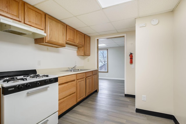 707 Maple St, Big Rapids, MI 49307 - kitchen featuring white range with gas cooktop, a sink, under cabinet range hood, a paneled ceiling, and light countertops