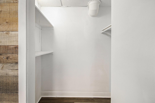 707 Maple St, Big Rapids, MI 49307 - walk in closet with dark wood-style floors