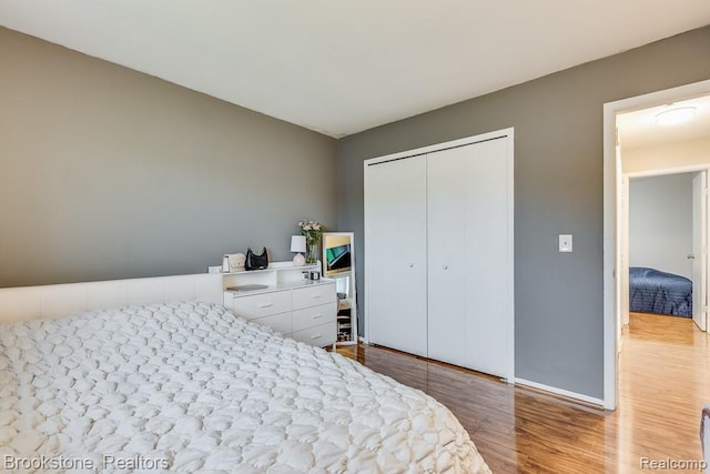 47442 Brent Ct, Chesterfield, MI 48047 - bedroom featuring wood finished floors, a closet, and baseboards