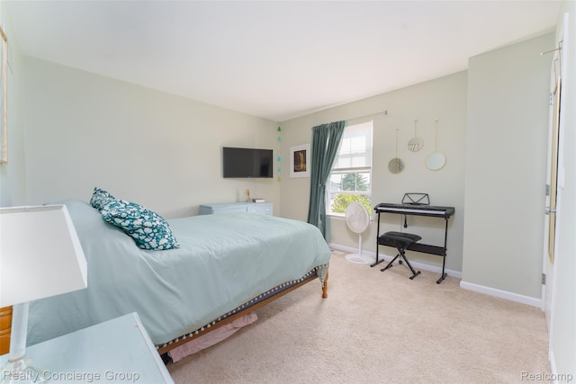 1154 York Ave, Howell, MI 48843 - photo 18