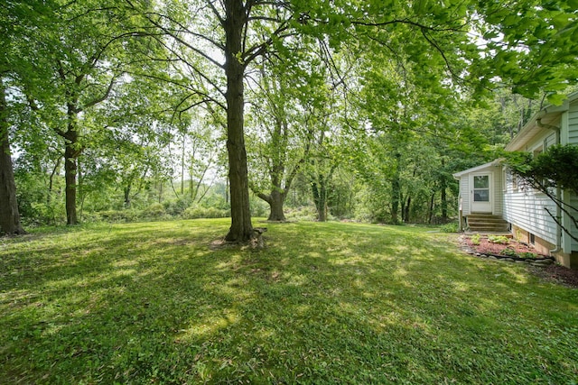 311 Rosehill Rd, Jackson, MI 49202 - view of grassy yard with entry steps