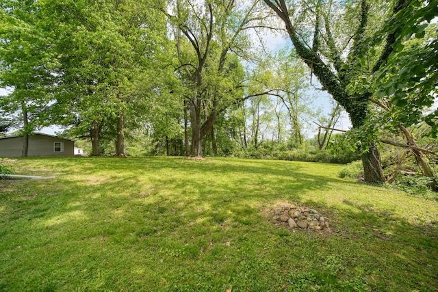 311 Rosehill Rd, Jackson, MI 49202 - view of grassy yard