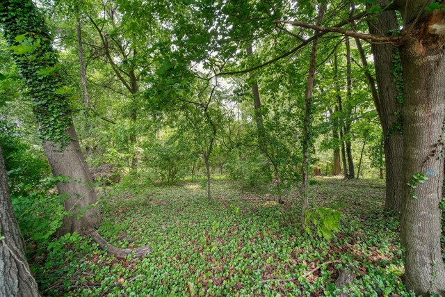 311 Rosehill Rd, Jackson, MI 49202 - view of wooded area